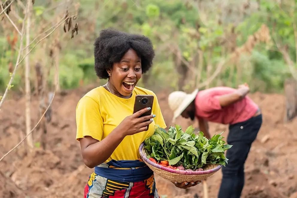 Blockchain Solution for African Agriculture