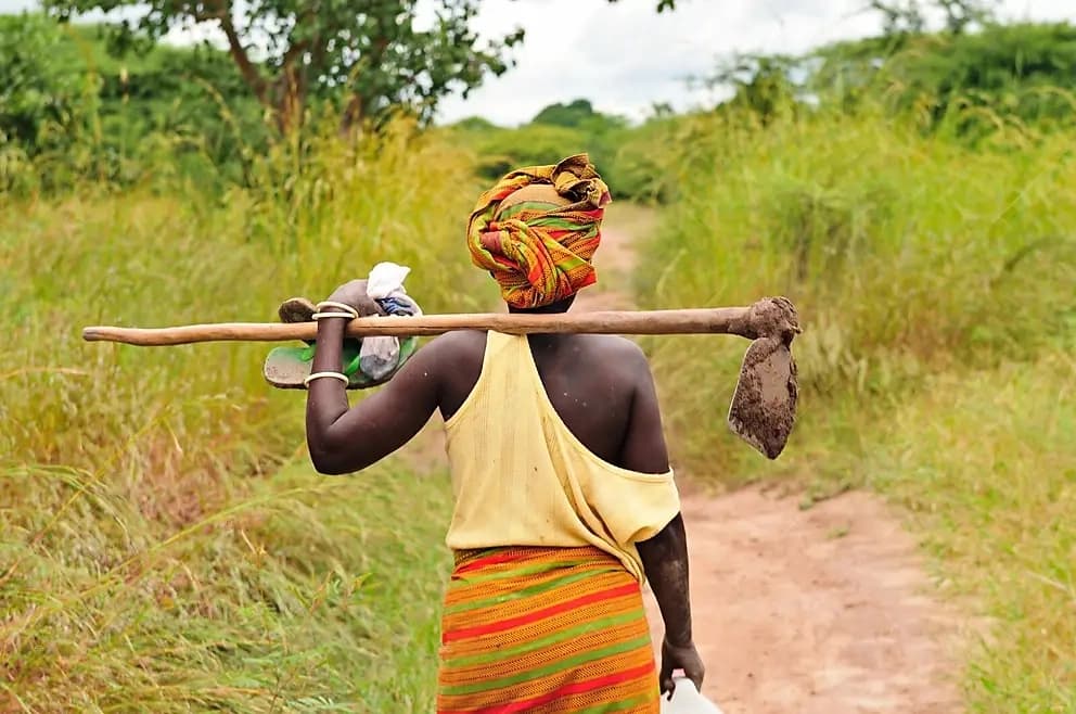 African Agriculture Challenges